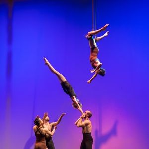 Meet your Posher, Xochitl